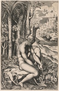 Rózsatövis által megsebesített Vénusz, c. 1516. alkotó: Marco Dente