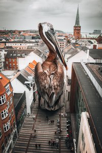  alkotó: Marcus Hennen
