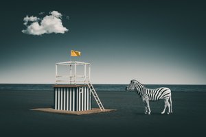 Szürreális tengerparti zebra