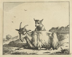 Fekvő kecske báránnyal Goats and Bucks (sorozat címe)