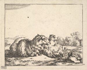Juh, 16 tányéros készletből, 1664. alkotó: Marcus de Bye