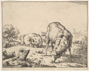 Juh, 16 tányéros készletből, 1664. alkotó: Marcus de Bye
