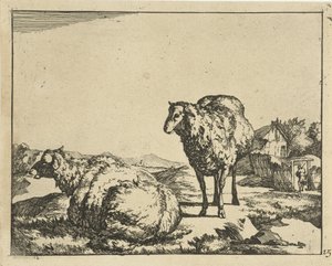 Álló és fekvő juhok farm a háttérben Juh (sorozat címe) alkotó: Marcus de Bye