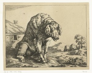Koca a hátsó lábakon ülve Predators and Boars (sorozat címe)