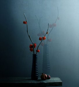 Moody botanikai csendélet