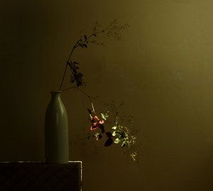 Moody botanikai csendélet