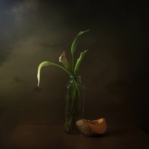 Elhervadt liliomok és dinnye