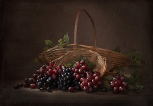 Bőséges szőlőtermés alkotó: Margareth Perfoncio