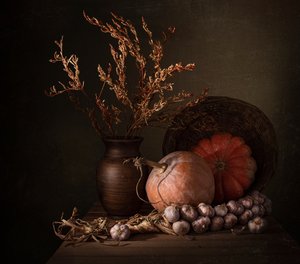 „Dark Harvest” tökök