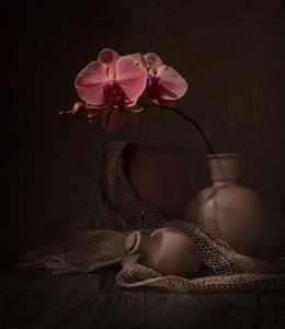 Sötét orchidea csendélet alkotó: Margareth Perfoncio