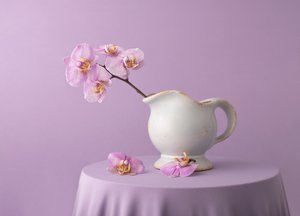 Elegáns levendula színű orchideák