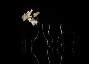 Elegáns orchidea-sziluettek alkotó: Margareth Perfoncio