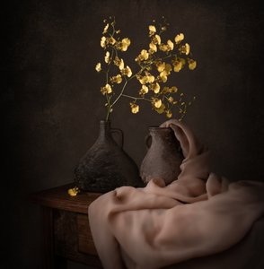 Hangulatos sárga orchideák alkotó: Margareth Perfoncio