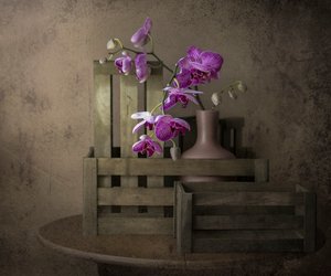 Orchideák és ládák alkotó: Margareth Perfoncio