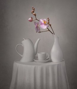 Rózsaszín orchidea teázás alkotó: Margareth Perfoncio