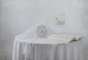 „Serene Clock Book” madárketrec alkotó: Margareth Perfoncio