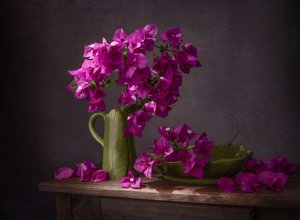 Élénk színekkel festett bougainvillea csendélet alkotó: Margareth Perfoncio