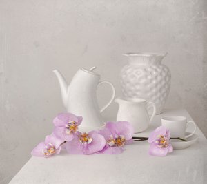 Fehér orchidea csendélet alkotó: Margareth Perfoncio