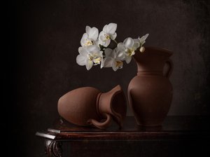 Fehér orchideák csendélet