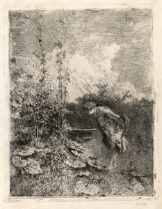A botanikus