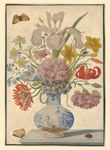  alkotó: Maria Sibylla Merian