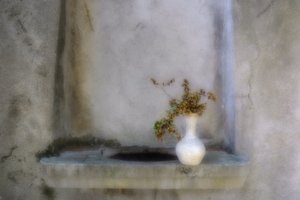 Szárított növényi anyagok fülkéje alkotó: Marie-anne Stas