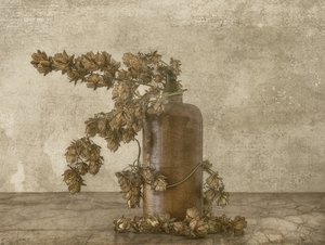 Rusztikus komló-csendélet alkotó: Marie-anne Stas