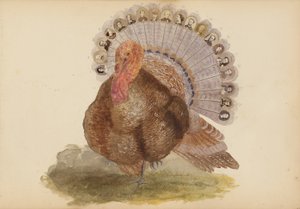 A Madame B album