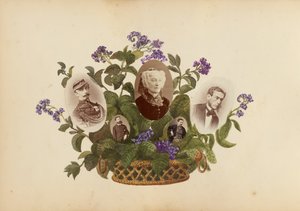 A Madame B album, 1870-es évek.