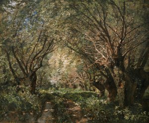 Weidenallee Stillfried an der Marchban