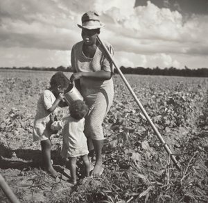 Fekete nő itatja gyermekeit a mezőn, ahol gyapotot kapál egy FSA szövetkezeti projektben (Allen Plantation).