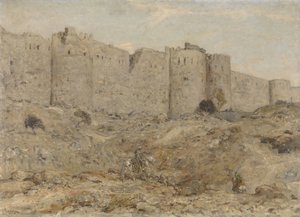 Városfal Indiában alkotó: Marius Bauer