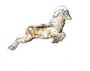 Arabian Tahr, 2009 (conte és faszén papíron) alkotó: Mark Adlington