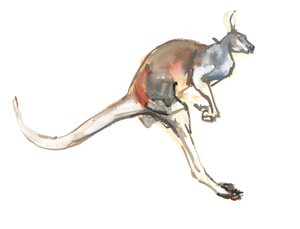Boing, (Vörös Kenguru), 2012, (akvarell és pigment papíron) alkotó: Mark Adlington