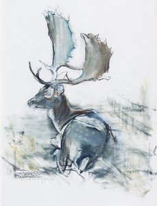 Buck in the Grass, 2006 (szén és konténer, papír) alkotó: Mark Adlington