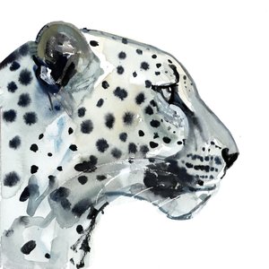Fókusz, 2015, (akvarell, papír) alkotó: Mark Adlington