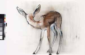 Gazelle Fawn (Arab Gazelle) 2010 (olaj, papír) alkotó: Mark Adlington