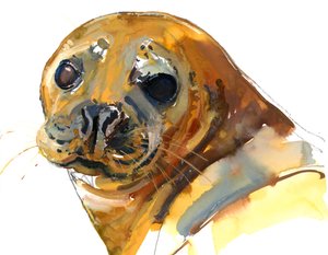 Ginger Pup, Westcove, 2023 alkotó: Mark Adlington