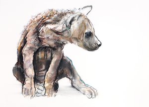 Hyaena Pup (profil), 2019 (conté és faszén papíron) alkotó: Mark Adlington