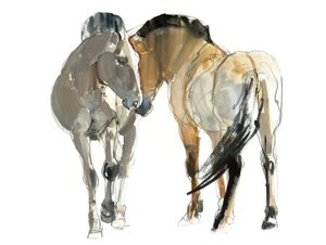 Rencontre (Przewalski), 2013, (akvarell és pigment papíron)