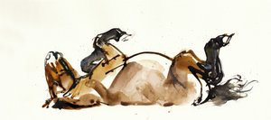 Rolling Horse (Przewalski), 2013 (sennelier tus, akvarell és gouache) alkotó: Mark Adlington