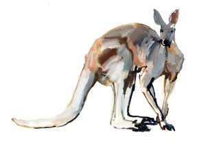 Roo, (Vörös Kenguru), 2012, (akvarell és pigment papíron)