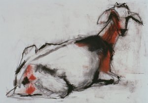 Ülő kecske, 1998 (conte és faszén papíron) alkotó: Mark Adlington