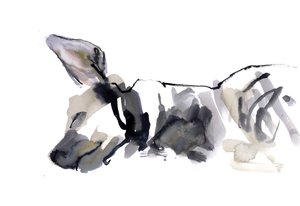 Alvó hiéna, 2010, (akvarell, papír) alkotó: Mark Adlington