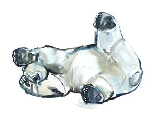 Snow Rub (jegesmedve), 2013 (akvarell és gouache papíron) alkotó: Mark Adlington