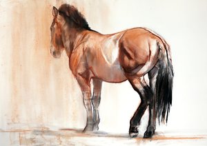 Állvány (Przewalski), 2013, (pasztell és szén, papíron)