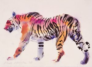 Stripey (tinta és wc papíron)
