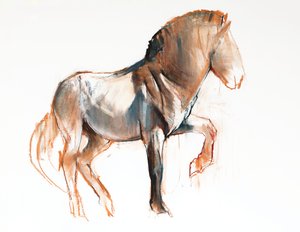 Eszterga (Przewalski), 2013, (pasztell és szén papíron)