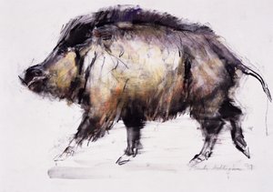 Vaddisznó, 1999 (grafit, konté és szén papíron) alkotó: Mark Adlington