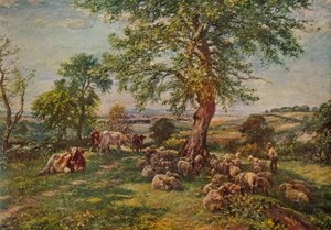 Hill és Dale, 1900, 1935